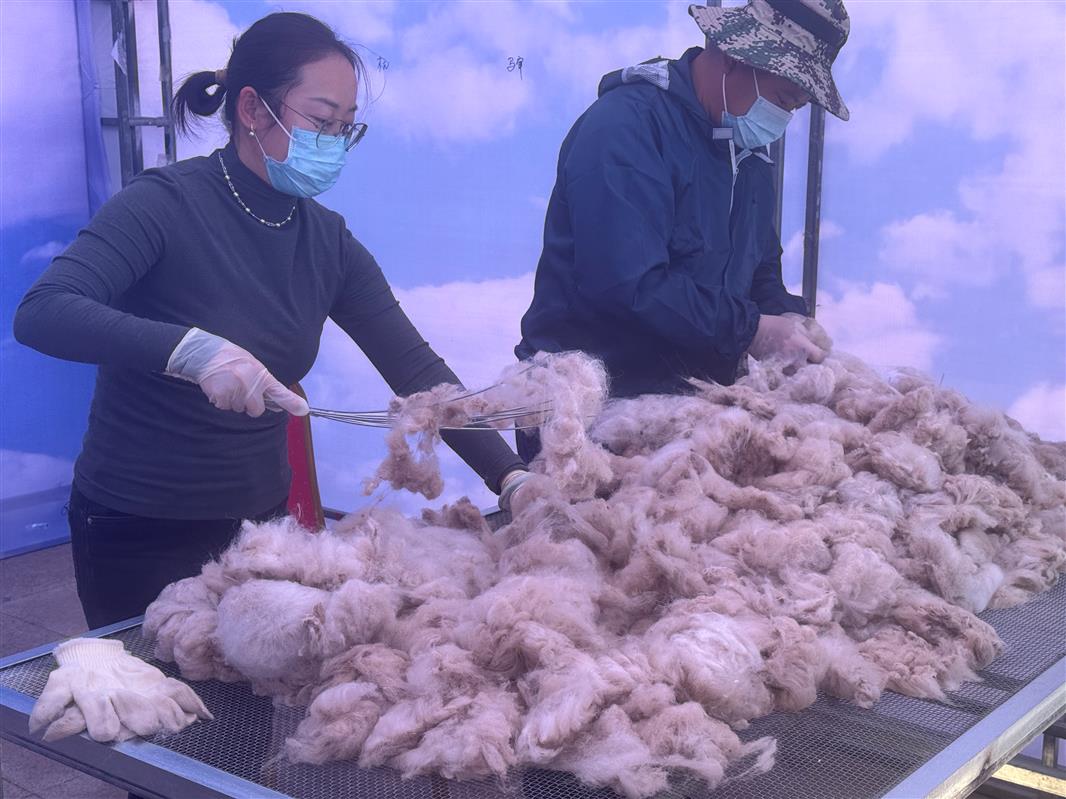 无效路径