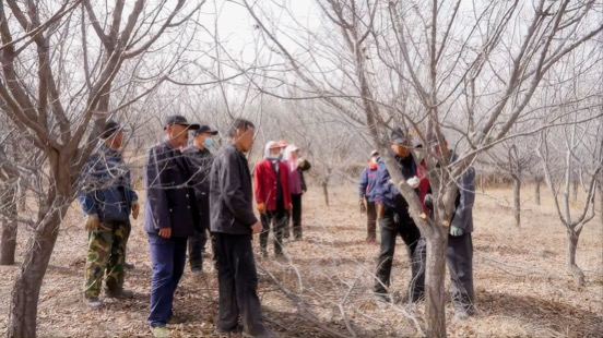 无效路径