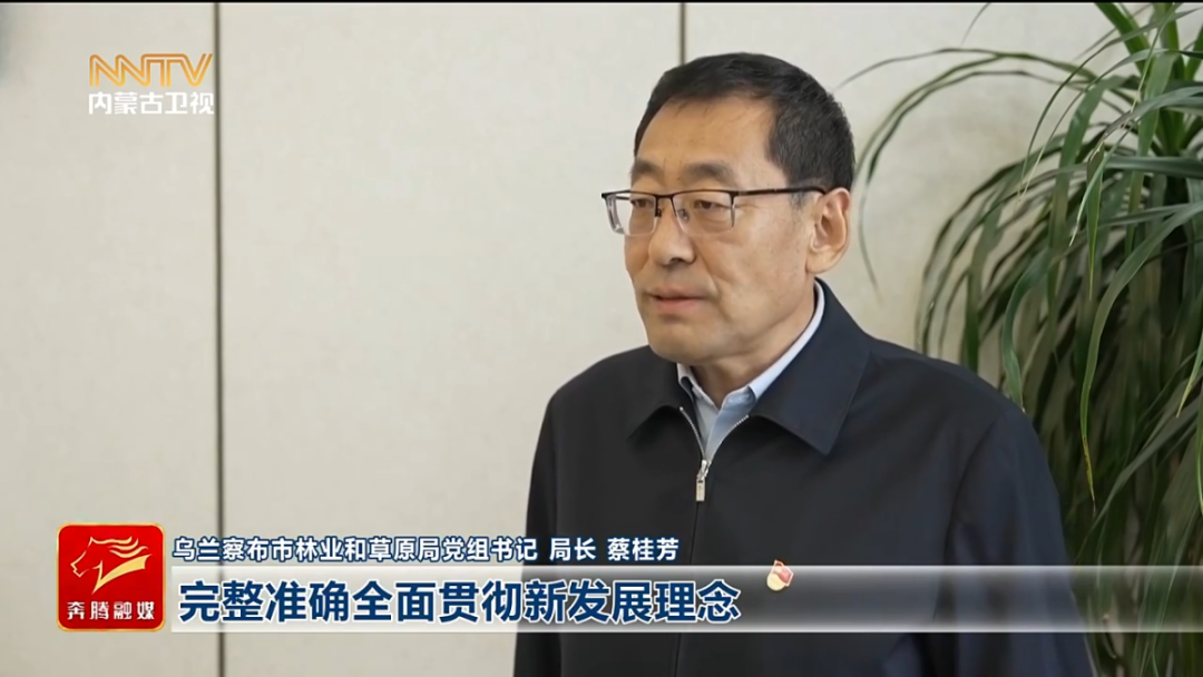 视频截图