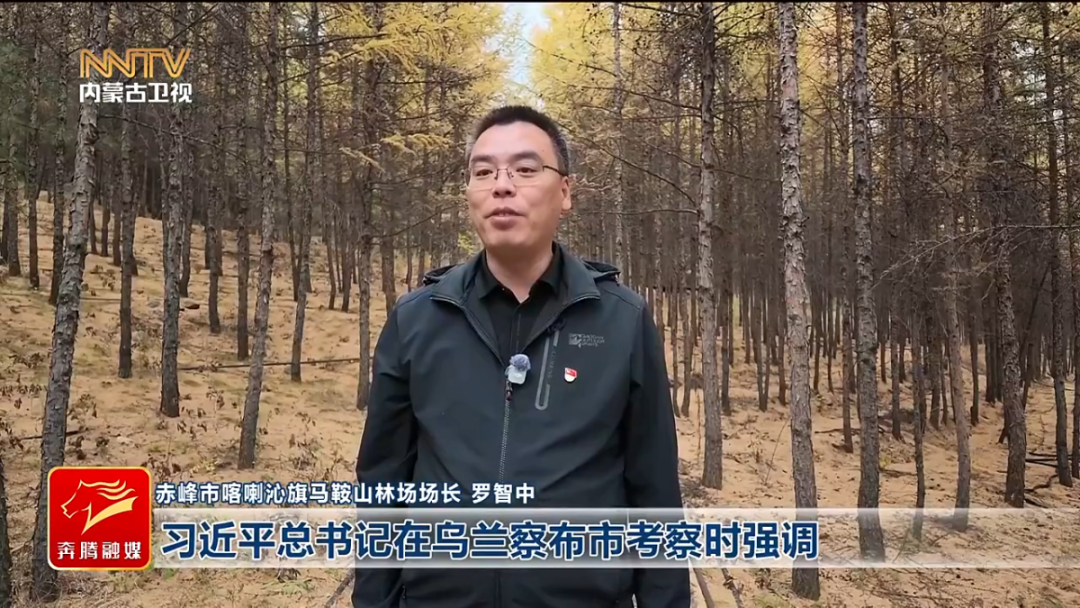 视频截图