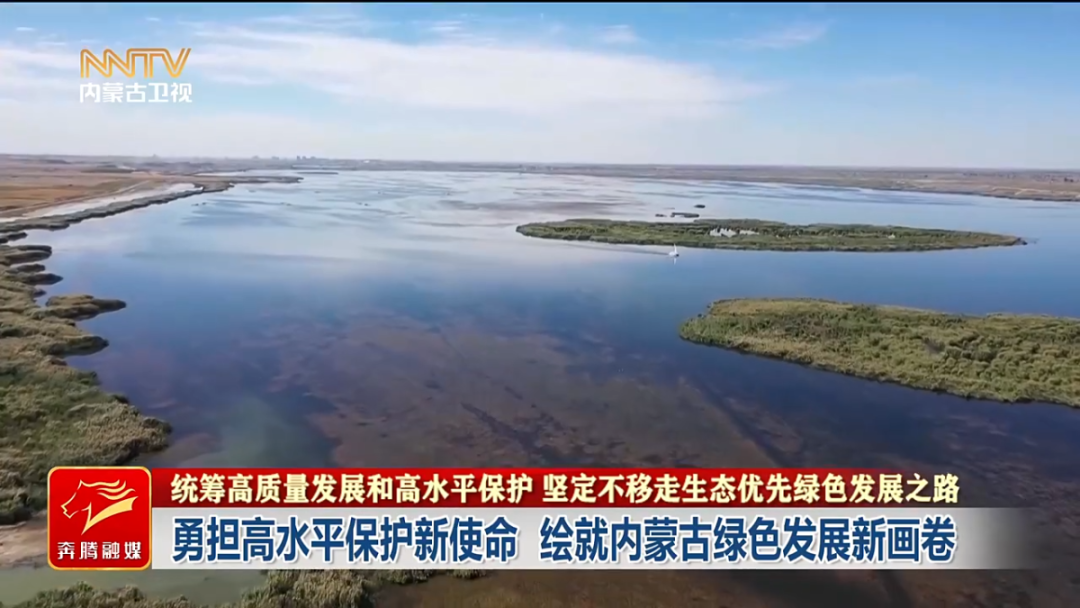 视频截图