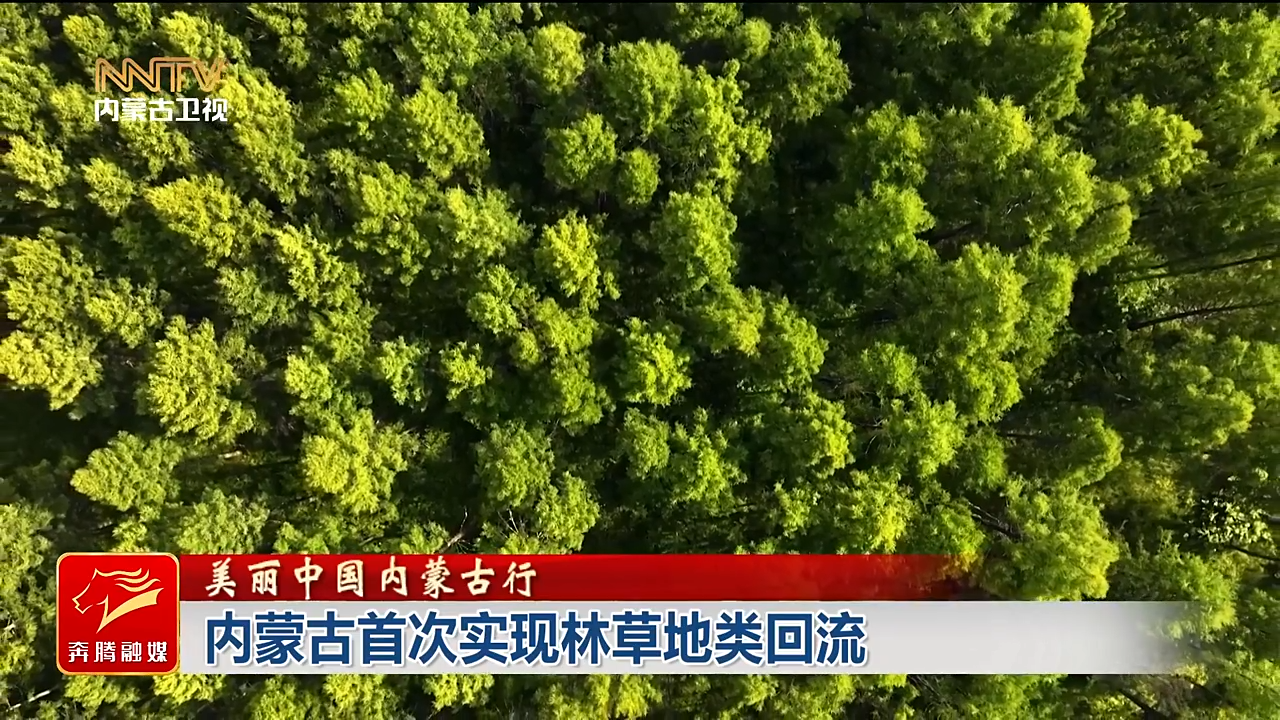 视频截图
