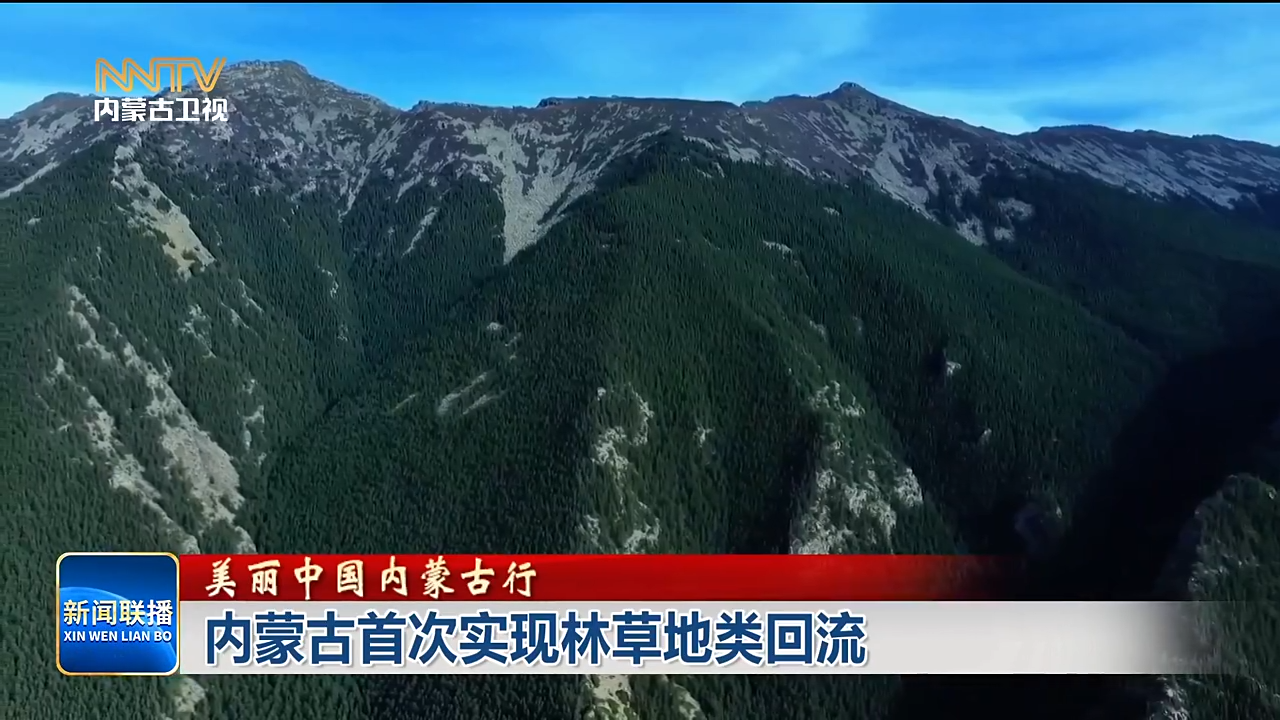 视频截图