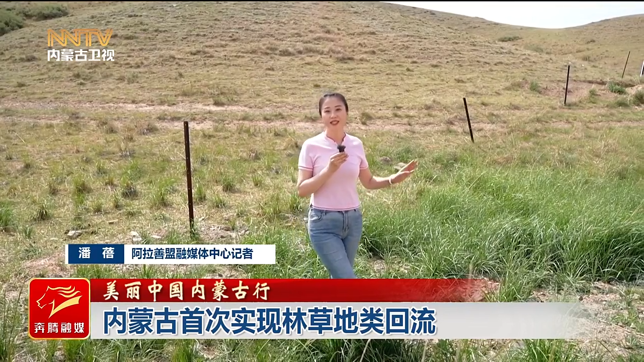 视频截图