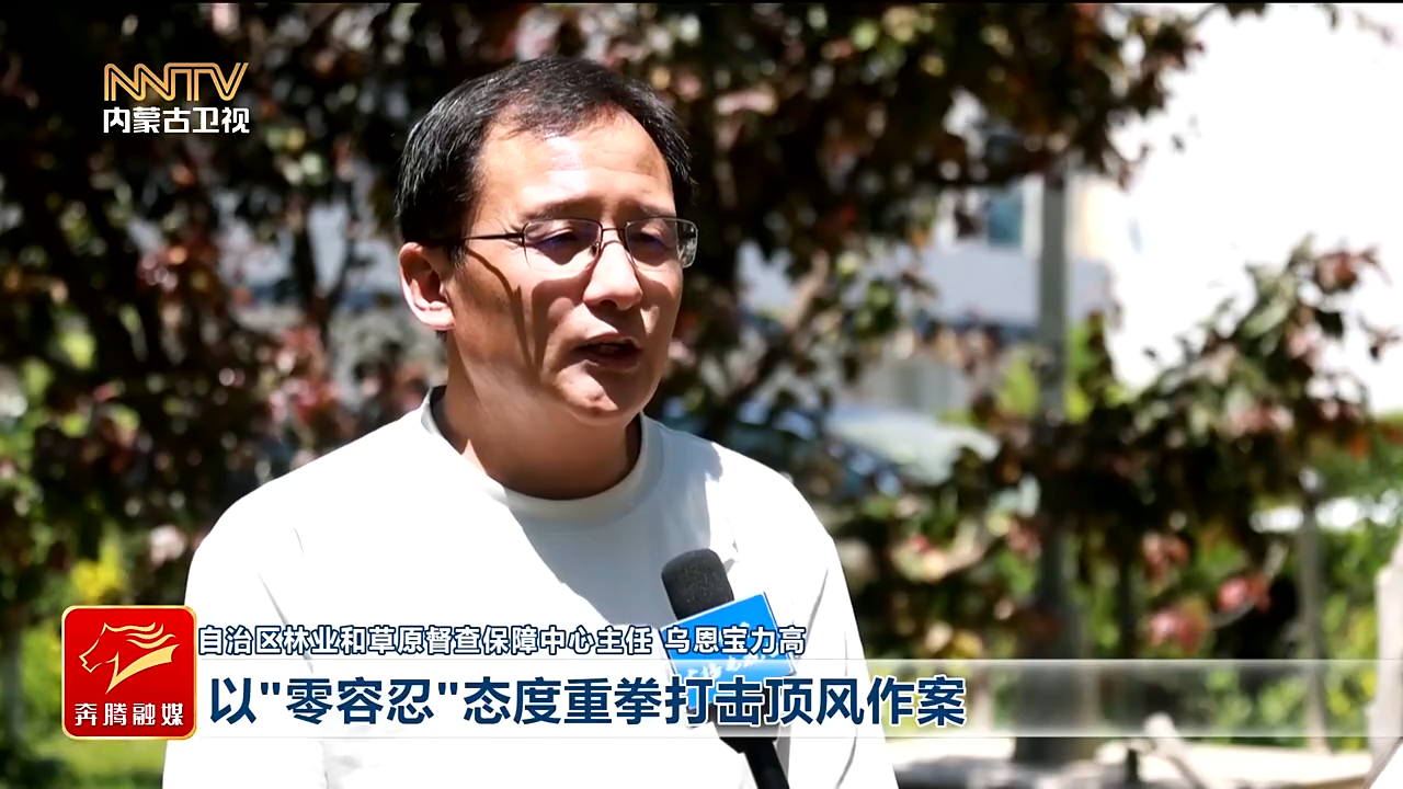 视频截图