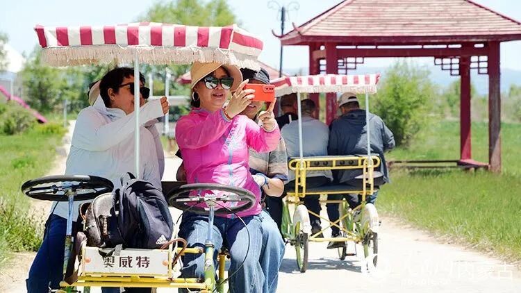 2026年5月29日,乌兰察布市岱海湖畔,游客们骑着观光自行车游览湖光春色。人民网记者 张力洋摄